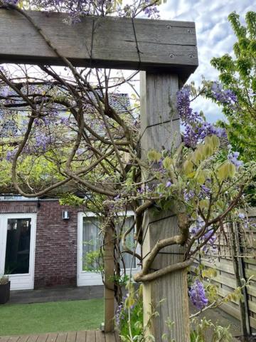 Schiphol Amsterdam Apartment Rijsenhout